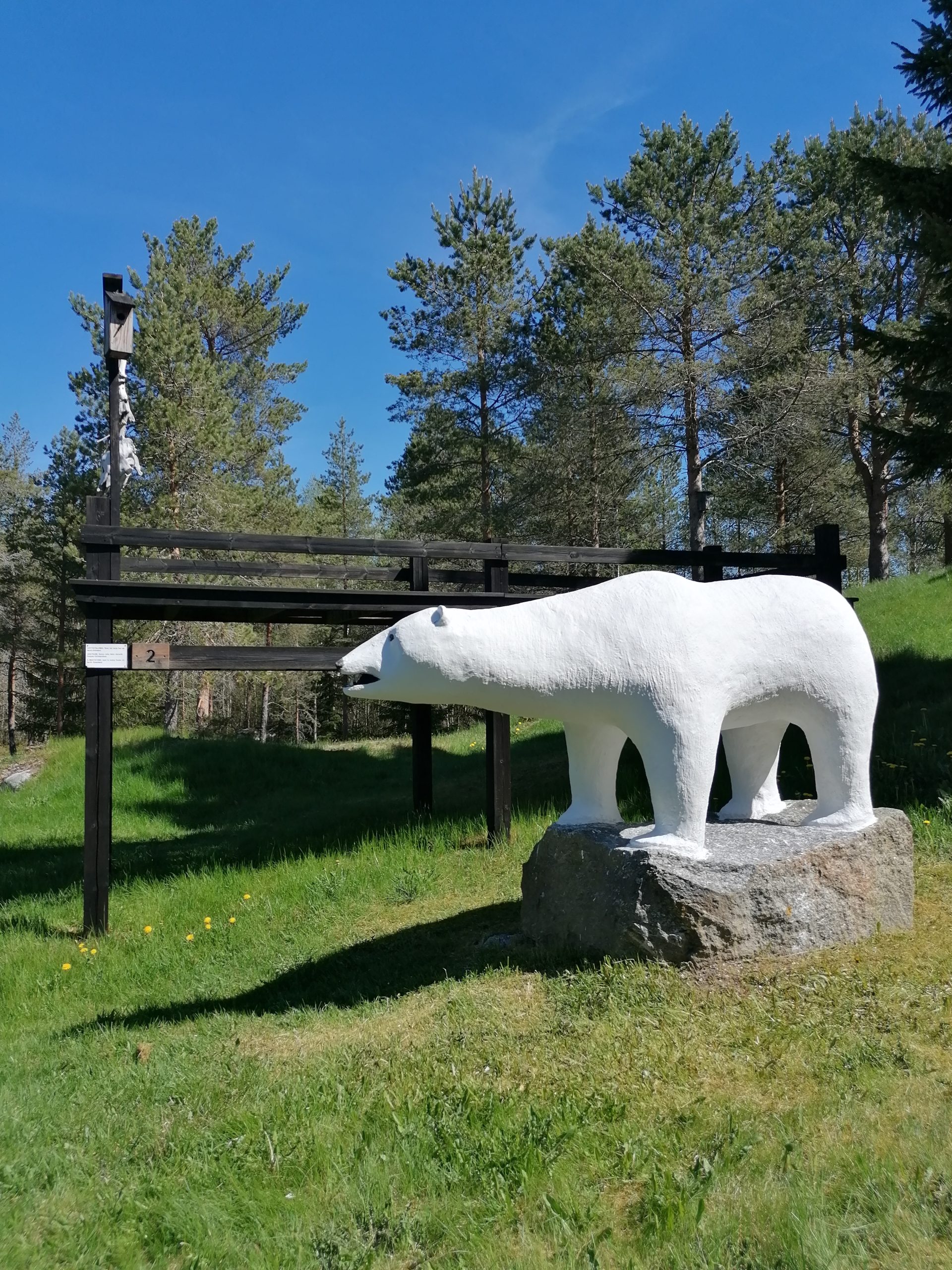 Isbjörn på Nanoq-muséet