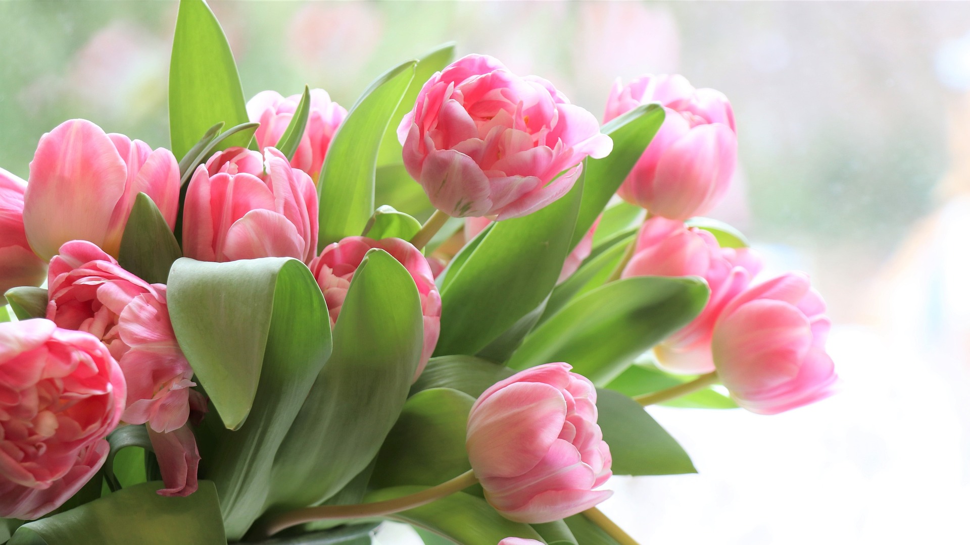 happy-mothers-day-gfe7fabe15_1920.jpg