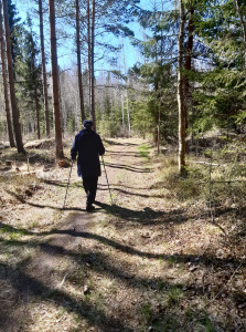 Promenad